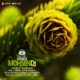 Mohsen DJ   Sed Mix 187 80x80 - دانلود پادکست جدید دیجی زیمو به نام ریتمولوژی 3